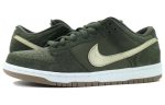 Nike Dunk Low Pro SB Green