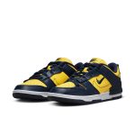 Nike Dunk Low Disrupt 2 'Michigan'